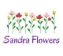 Sandra Flowers